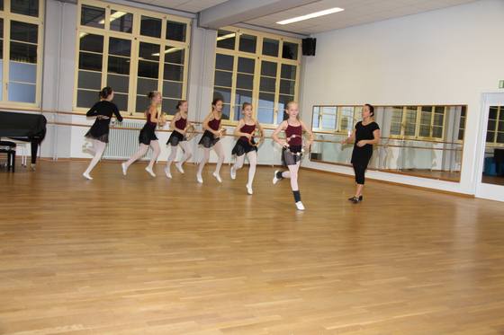 Auftritt Dornröschen 2014 – Bild 56
