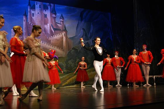 Auftritt Schwanensee 2014 – Bild 1