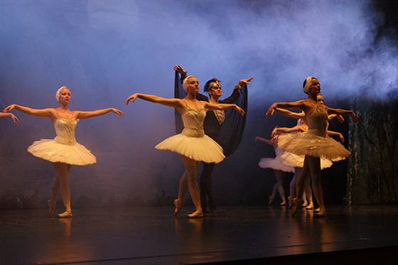 Auftritt Schwanensee 2014 – Bild 2