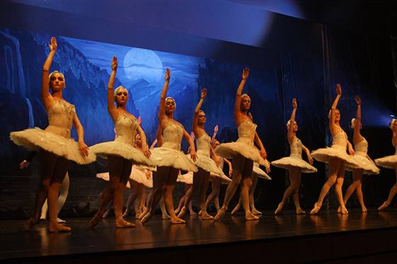 Auftritt Schwanensee 2014 – Bild 5