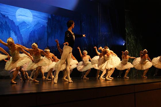 Auftritt Schwanensee 2014 – Bild 6
