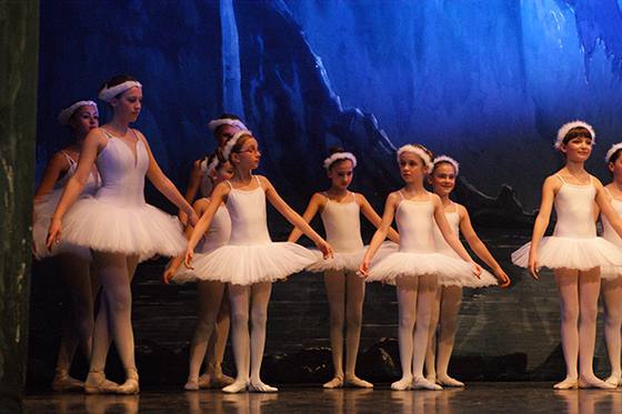 Auftritt Schwanensee 2014 – Bild 8