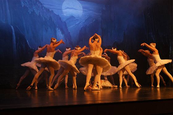 Auftritt Schwanensee 2014 – Bild 31