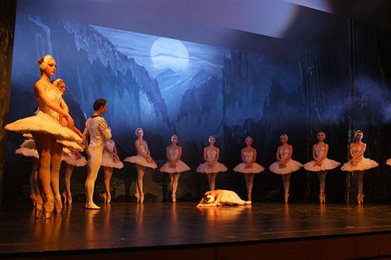 Auftritt Schwanensee 2014 – Bild 32