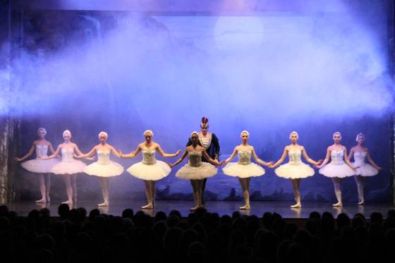 Auftritt Schwanensee 2014 – Bild 33