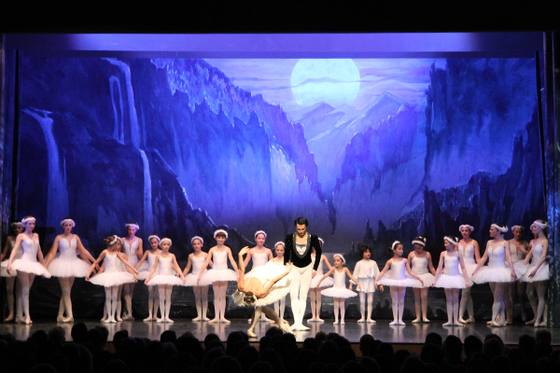 Auftritt Schwanensee 2014 – Bild 35
