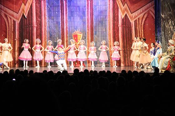 Auftritt Schwanensee 2014 – Bild 47