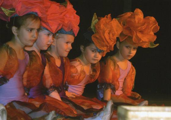 Tanzschule Let’s Dance – Bild 6
